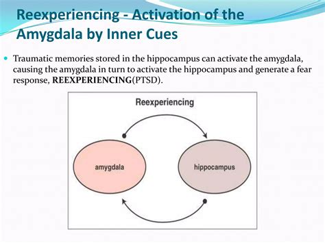 Benzodiazepines | PPT