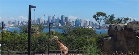 Taronga Zoo - Sydney Australia – our3kidsvtheworld