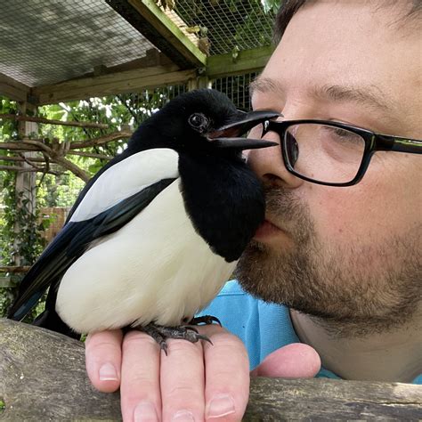 Sophie The Magpie On Twitter Its Been A Year Today Since We Lost