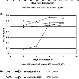 Selection Of ASLV A Variants That Rescue The Defect In Replication