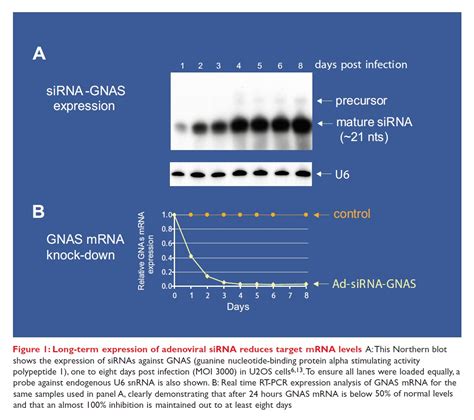 Functional screening of viral siRNA libraries in human primary cells ... 