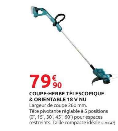 Promo Coupe herbe Télescopique Orientable 18v Nu chez Rural Master