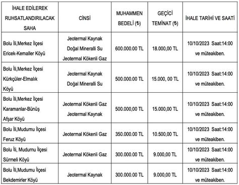 Bolu nun altı köyünde jeotermal kaynak arama ruhsatlı saha ihaleye çıkıyor