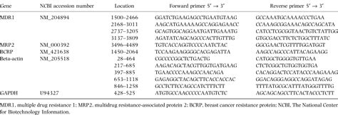 Table From Expression Of Mdr Mrp And Bcrp Mrna In Tissues Of