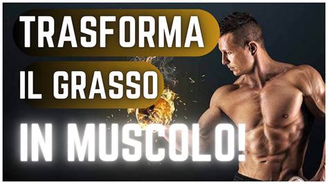 Ricomposizione Corporea Il Grasso Diventa Muscolo Youtube