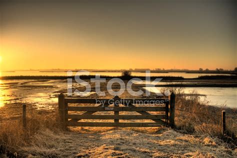 Gate To Nature Stock Photo Royalty Free Freeimages