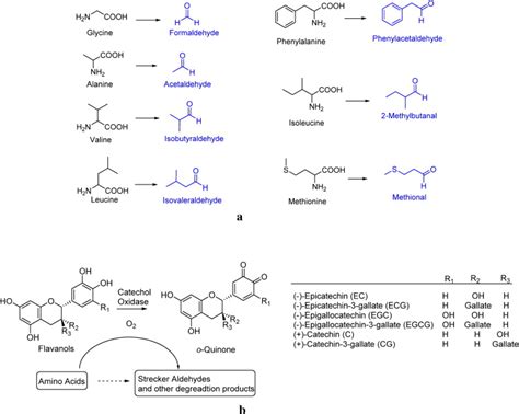 A Amino Acids And Their Corresponding Strecker Aldehydes [8] B The Download Scientific