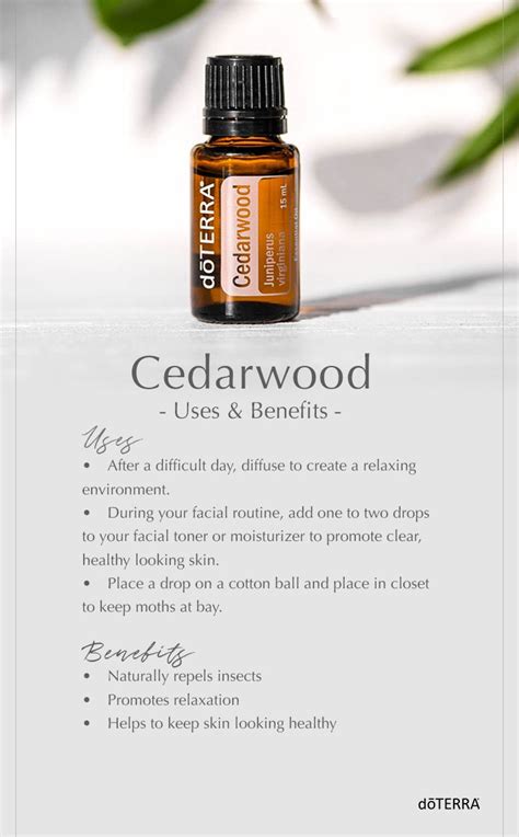 Cedarwood Essential Oil Uses And Benefits Cedarwood Essential Oil Uses Cedarwood Essential Oil