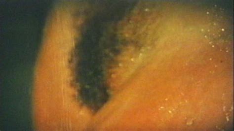 Kristine De Loup Nude Pics Page