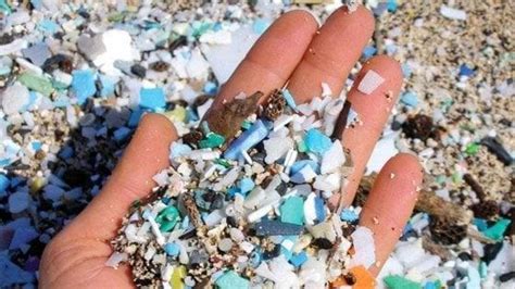 Lallarme Degli Scienziati Microplastiche Nel Sangue Il Secolo Xix