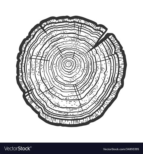 Tree cross section saw cut sketch Royalty Free Vector Image