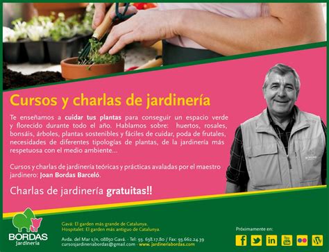 C Mo Encontrar Los Mejores Cursos De Jardiner A Para Aficionados