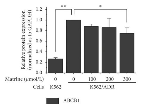 Effects Of Matrine On Drug Exporters And Activation Of Nf Kappa B A