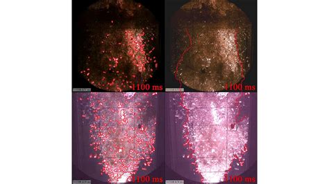 Nuclear Energy Agency (NEA) - Steam Explosion Resolution for Nuclear ...