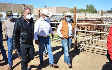 Realizan Expo Ganadera En El Municipio De Poanas El Sol De Durango