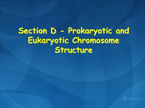 Ppt Section D Prokaryotic And Eukaryotic Chromosome Structure Powerpoint Presentation Id