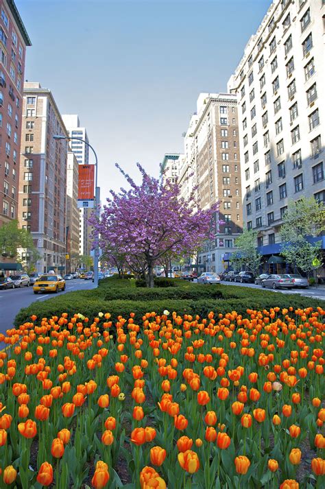 12 Photos That Prove Park Avenue Is The Best Place To Take A Spring