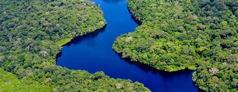 Amazonas Regenwald: Wichtigsten Informationen zum Amazonas