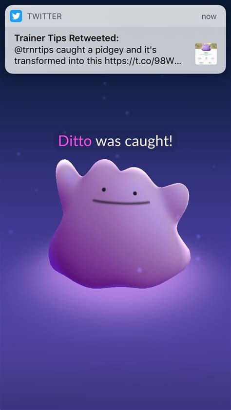 Ditto Has Been Found In Nj R Pokemongonewjersey