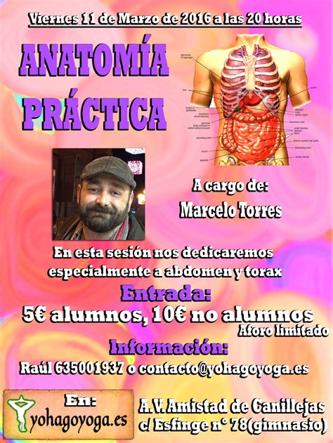 ANATOMÍA PRÁCTICA Yohagoyoga tu web de yoga