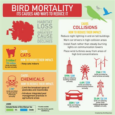 About Those Claims Of Declining Bird Populations Due To Climate Change