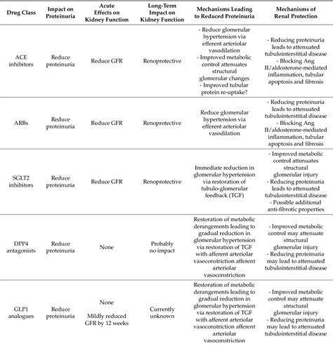 Figure 1 From Diabetic Proteinuria Revisited Updated Physiologic