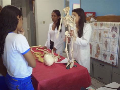 PIBID Biologia Poeta Torquato Neto UESPI Aula prática sobre