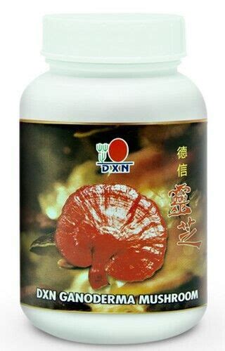 Dxn Ganoderma Mushroom Chips Ganoderma Lucidum G Ebay