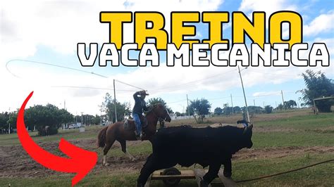 TREINO DE VACA MECÂNICA PARA O RODEIO YouTube