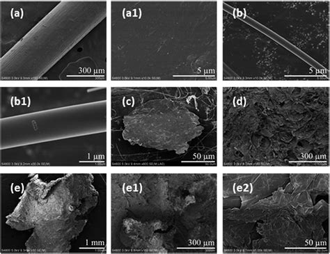 Detection Of Microplastics In Local Marine Organisms Using A Multi