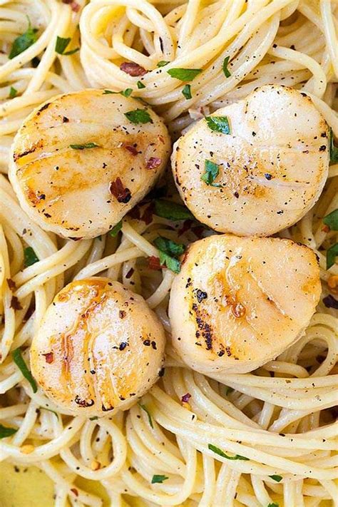 Creamy Scallop Pasta Yummy Foods 100