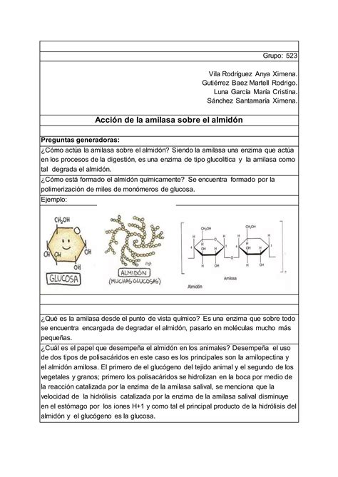 Pr Ctica Acci N De La Amilasa Sobre El Almid N Pdf