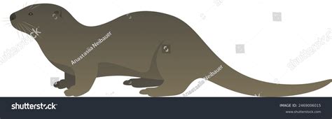 otter side   royalty  licensable stock illustrations