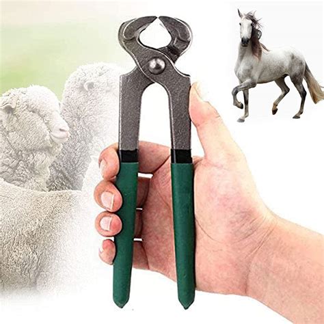 Buy YQJY Professional Farrier Tool Kits Hoof,Goat Hoof Trimming,Horses Hoof Trimmers Tools, for ...