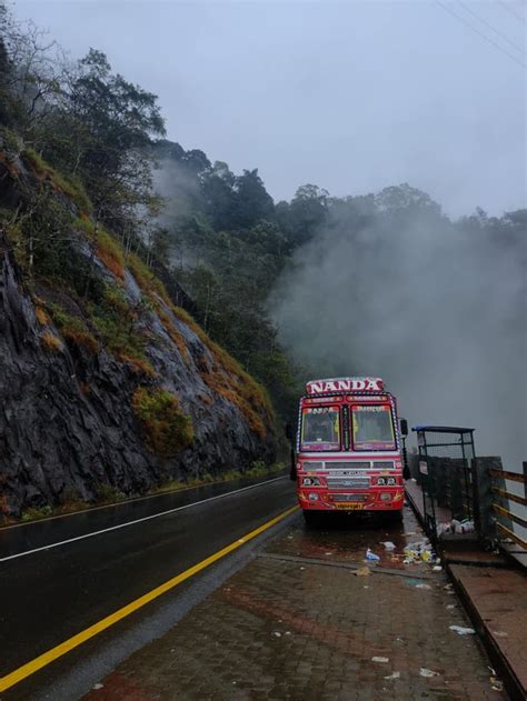 📍 Wayanad, Kerala, India : r/Forest