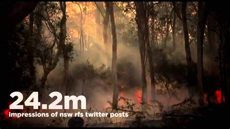 The October 2013 Nsw Bush Fires Blue Mountain Pet Emergency Fire