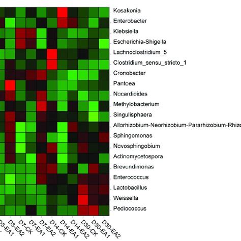 Heatmap Of Prominent Bacterial Genera 20 Most Abundant Genera For Download Scientific Diagram