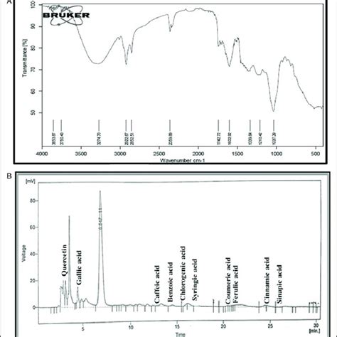 Phytochemical Screening Of At Cr A Ftir Spectrum And B Hplc