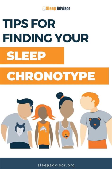 Chronotypes definition and types i – Artofit