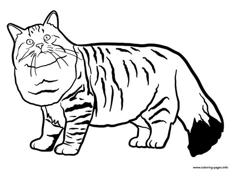 Siberian Cat Coloring Page Printable