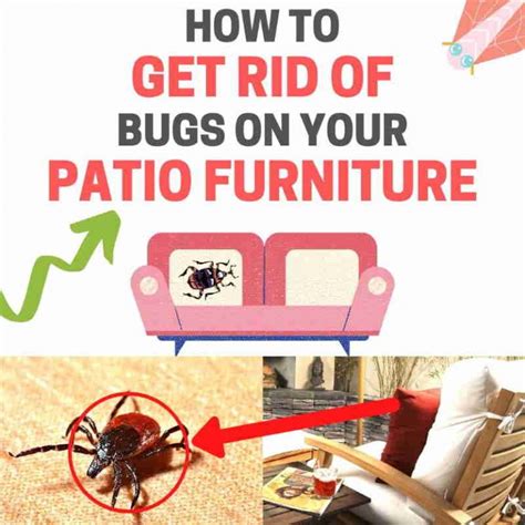 How To Get Rid Of Bugs On Patio Furniture Naturally Bugwiz