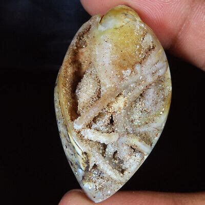 Natural Fossil Snail Druzy Gemstone Ct X X Mm Snail Druzy Sr