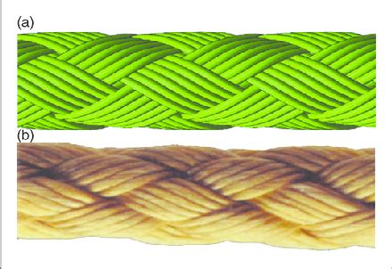 Comparison between simulated rope (a) and real rope (b). | Download ...