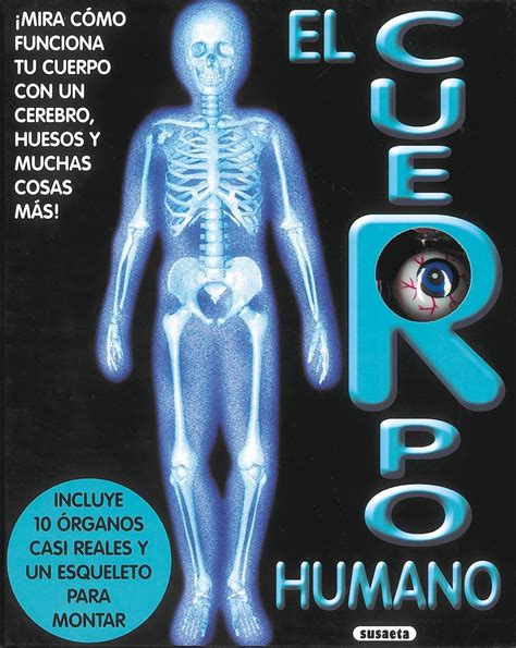 Juego Y Aprendo El Cuerpo Humano Juego Aprendo El Cuerpo Humano