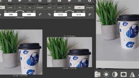 Koka Aplicativos para Redimensionar Imagens Conheça as Melhores Opções