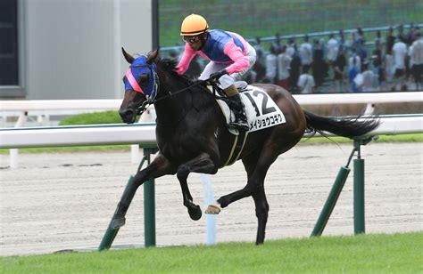 Netkeiba On Twitter 【小倉5r・2歳新馬芝1200】 メイショウコギク 和田竜二 父サトノクラウン 母