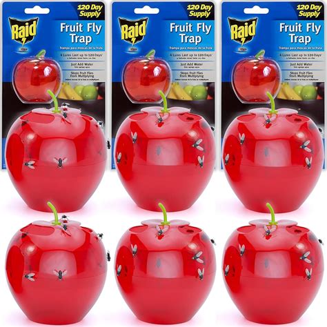 Raid Fruit Fly Trap Bundle Set Of 3 2 Pack Apple Fruit Fly Catcher Indoor Trap