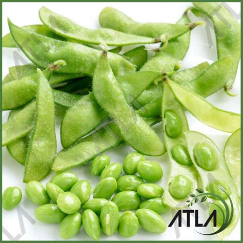 Jual Benih Tanaman Kacang Edamame 100gram Biji Bibit Kedelai Jepang