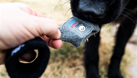 Official Sneak Attack Squad Grey Sweat Band! – The Extreme Toys Store