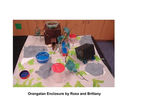 Livewires Zoo Enclosures | PPT